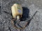 TOOLS - Lesco 4Gal. Backpack Sprayers