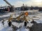 Vermeer Rebel R90 Tedder Rake