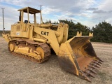Cat  973