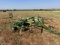 Krone Swadro 38t