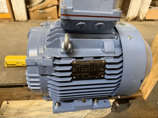 Marathon TerraMAX Motor