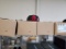 6 Toronto Raptor 9 Fifty Snapbacks