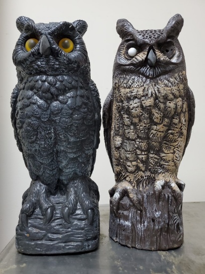 Two Owls