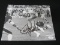 CLEO MILLER SIGNED 8X10 PHOTO WITH FSG COA