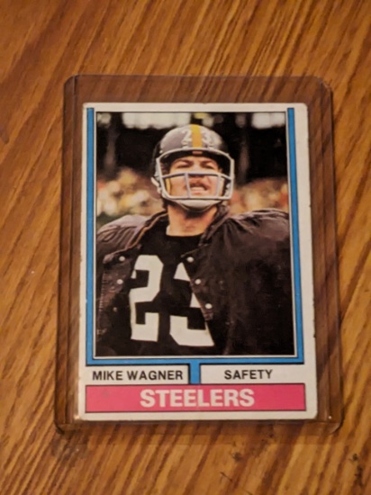 1974 opps - #273 Mike Wagner
