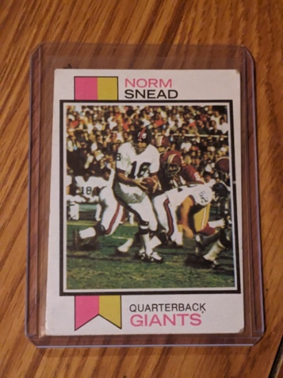 Topps 1973 Norm Snead #515