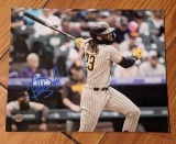 Fernando Tatis JR autographed 8x10 photo with coa
