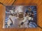 1996 Playoff Absolute Quad Series Chris Calloway Tyrone Wheatley Rodney Hampton