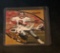 Troy Aikman autographed card w/coa