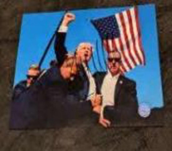 Donald Trump autographed 8x10 photo with coa