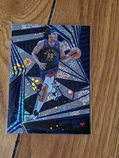 2023-24 Panini Revolution #20 Aaron Gordon Winter Denver Nuggets