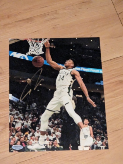 Giannis Antetokounmpo autographed 8x10 photo with coa