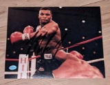 Mike Tyson autographed 8x10 photo with coa