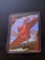 2023-24 Panini Revolution Shock Wave #25 Kobe Bufkin Rookie mojo Insert
