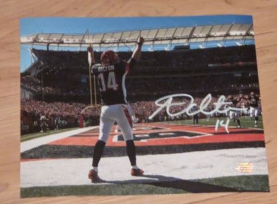 Andy Dalton autographed 8x10 photo with coa