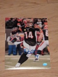 Andy Dalton autographed 8x10 photo with coa