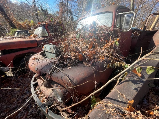 FORD F100