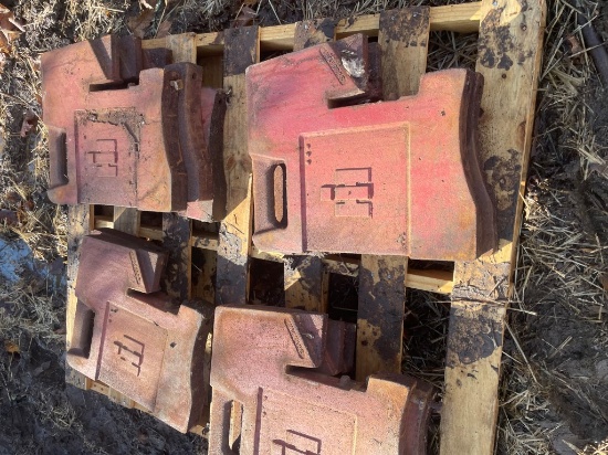 10 IH 100# SUITCASE WEIGHTS X10
