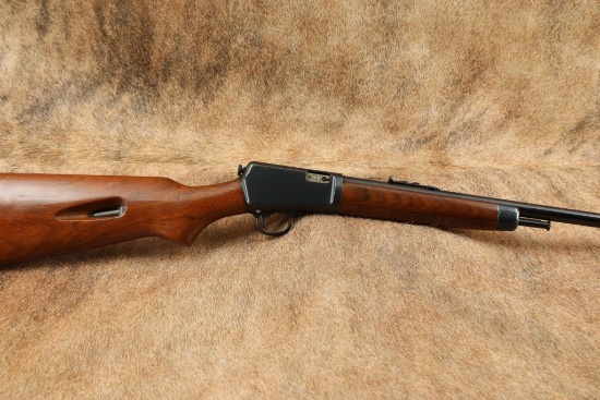 Winchester Model 63 .22 LR 23