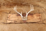 Custom Winchester Inspired 4-Point Buck Antlers Mounted & Barbed Wire Rustic Wooden Sign