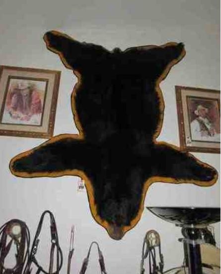 Mounted Black Bear Rug - Very Fine Condition - Professionally Mounted & Lined - 6 ft.