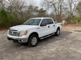 2013 FORD F150 XLT