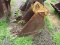 EXCAVATOR BUCKET