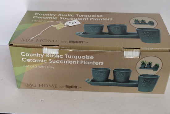 Succulent Planters Set