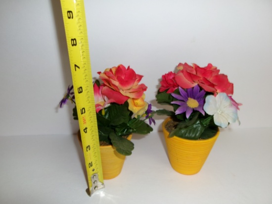 Spring Plants