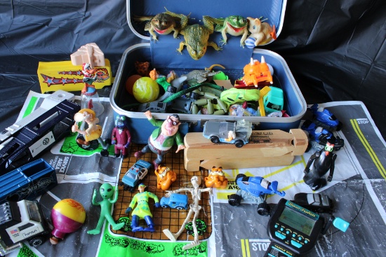Lot of toys with case