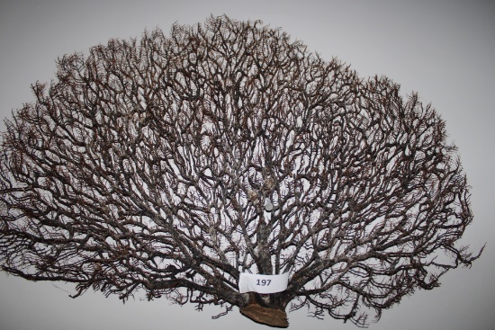 Tree Wall Decoration