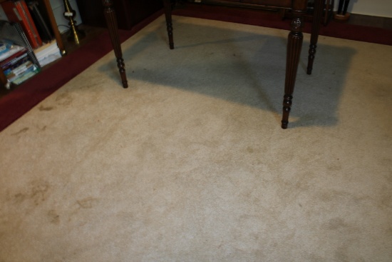 Area Rug