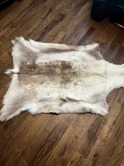 Large Reindeer Hide