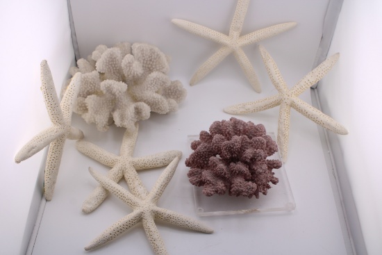 Sea Creature Decorations