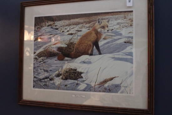 Winter Vixen by Robert Pease