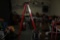 Werner Ladder