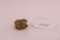Authentic Chanel CC Logo Ring sz 6.. PICS ADDED!!!
