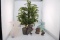 Easter Tree with Assortment of Bunny Figurines