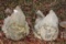 Yard Gnomes