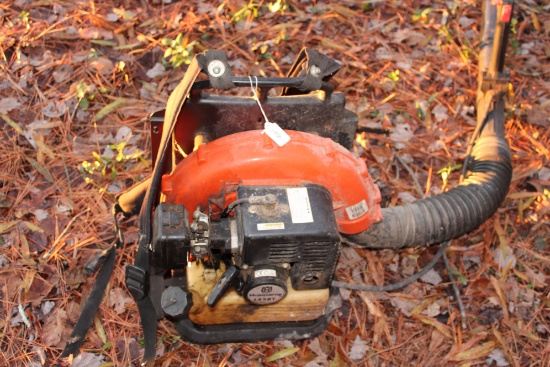 Backpack blower. Works