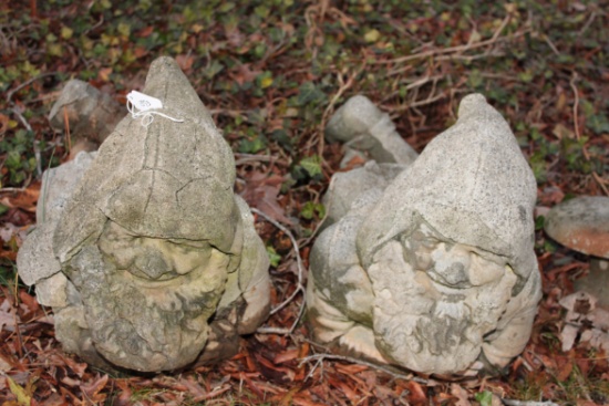 Yard Gnomes