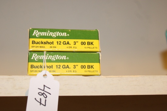 12 Gauge Buckshot