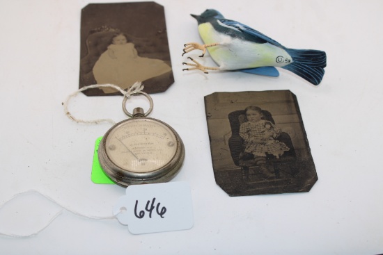 Tintype Childrens Photos 1870s, Ampers ever Ready, Wooden Blue Jay