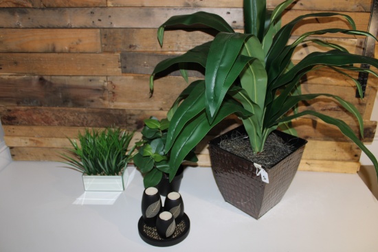 Household Faux Plants