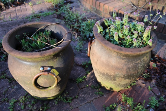 Pair of Large Planters