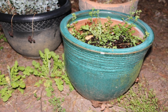 Three Large Planters