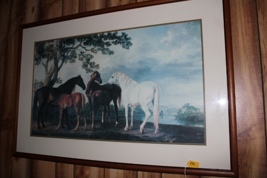 Large Horse Picture