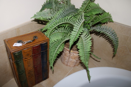 House DÃ©cor and plant
