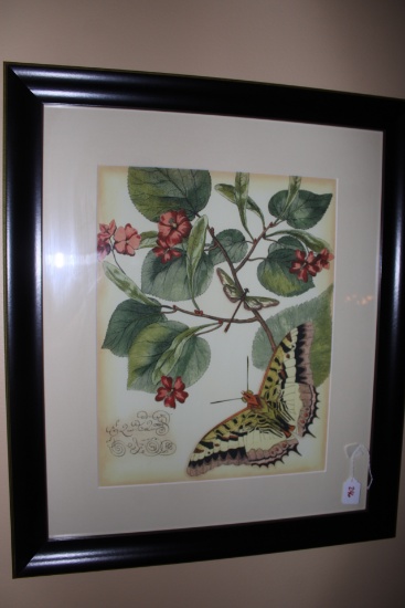 Butterfly Lithograph