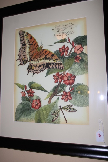Butterfly Lithograph
